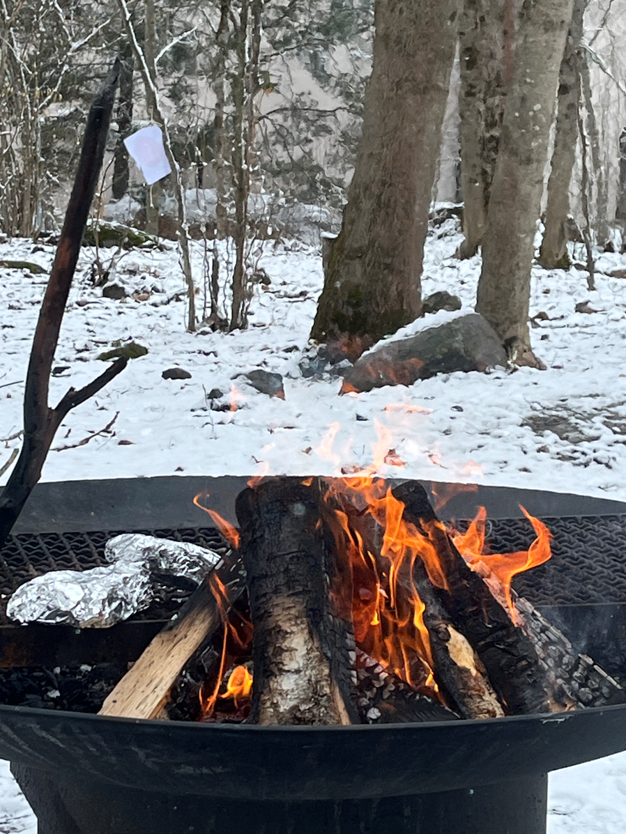 en bålplass med bål i, omgitt av snø;