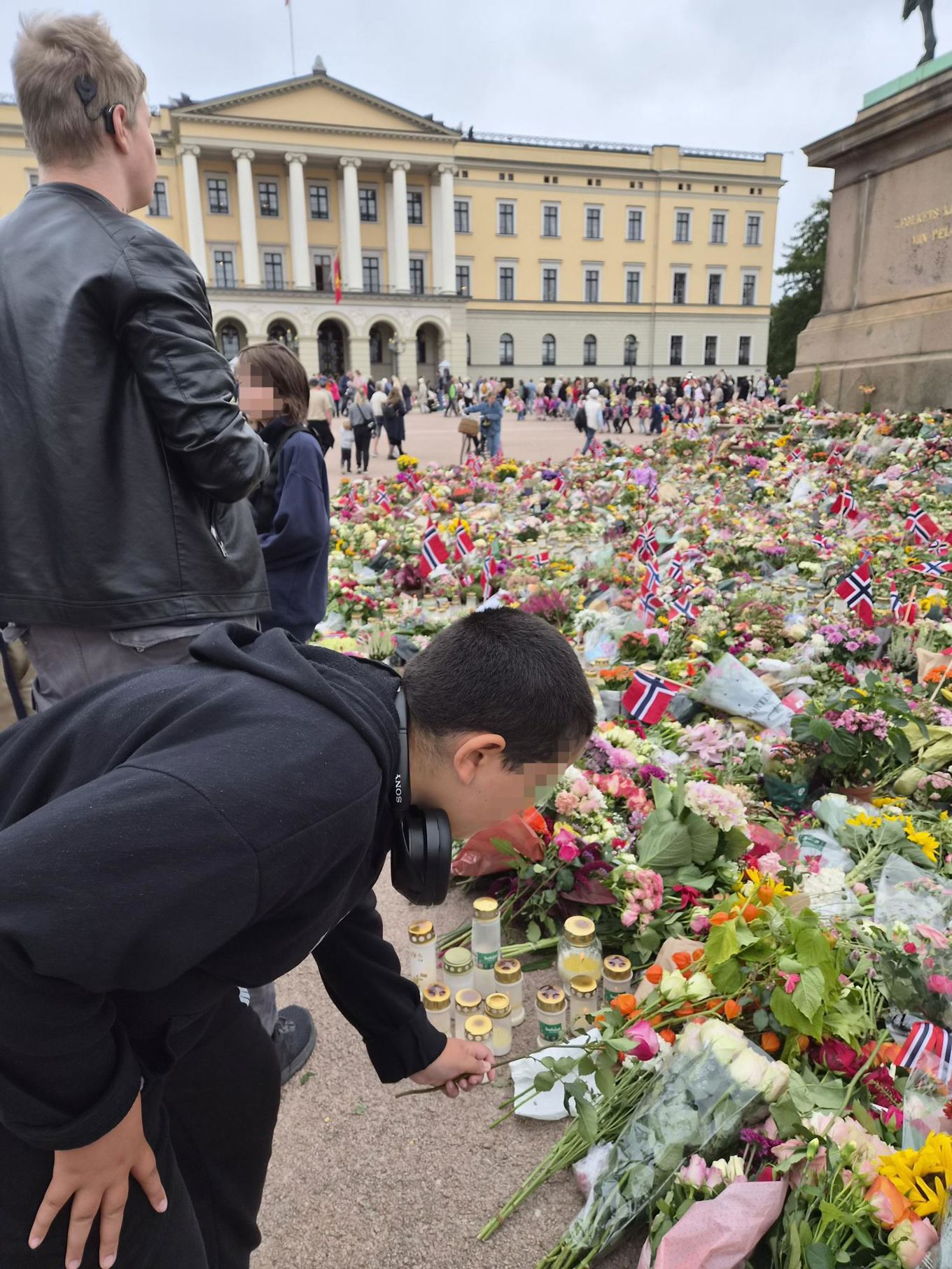 En person som kneler for å ta på en blomst i en stor folkemengde